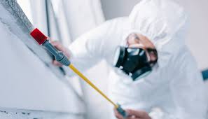 Best Real Estate Pest Inspections  in Luna Pier, MI